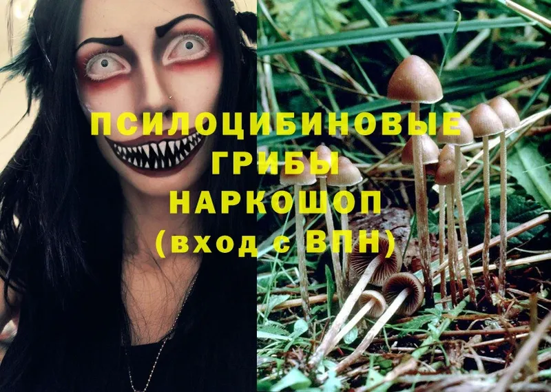 Галлюциногенные грибы MAGIC MUSHROOMS  Урай 